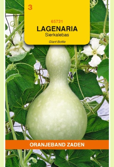 Ornamental squash Giant Bottle (Lagenaria) 10 seeds